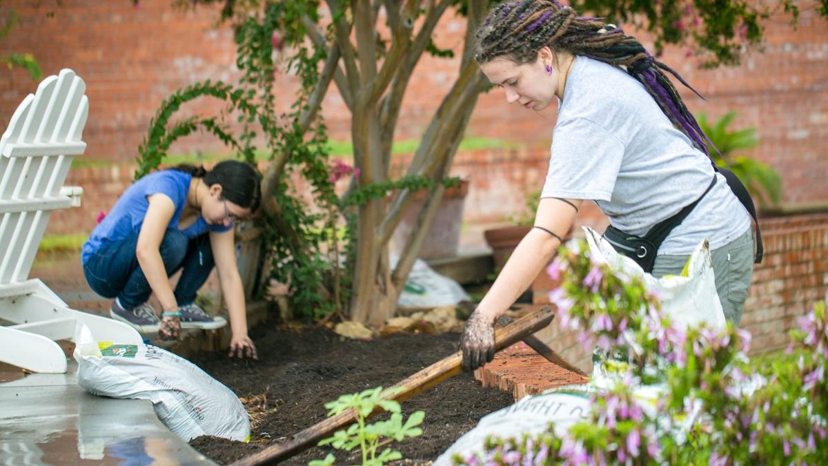 two female students clean community garden beds